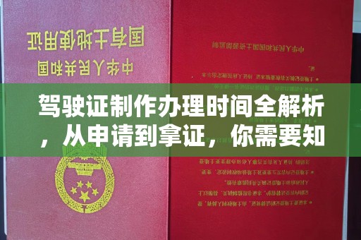 杨陵驾驶证制作办理时间全解析，从申请到拿证，你需要知道的一切